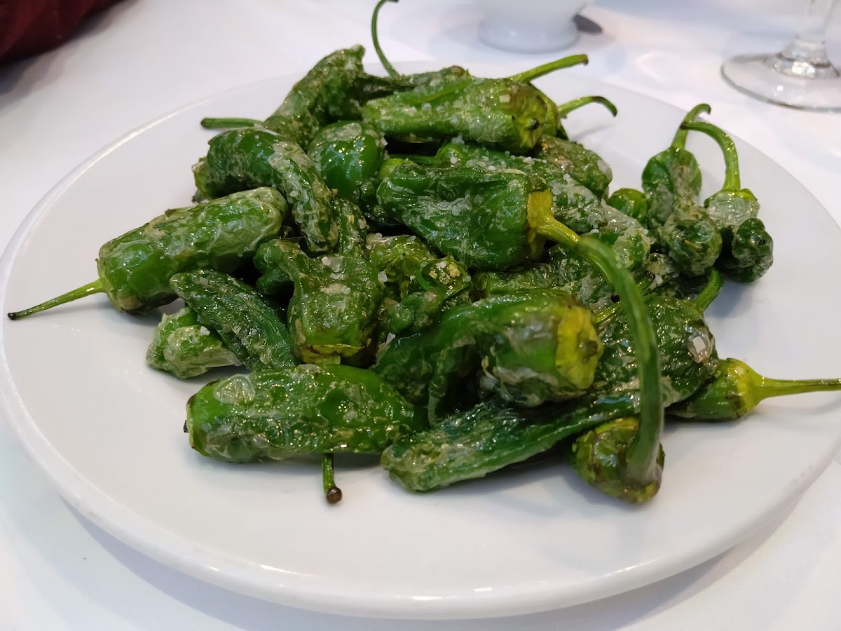 Restaurante-Marisqueria Río Miño-7